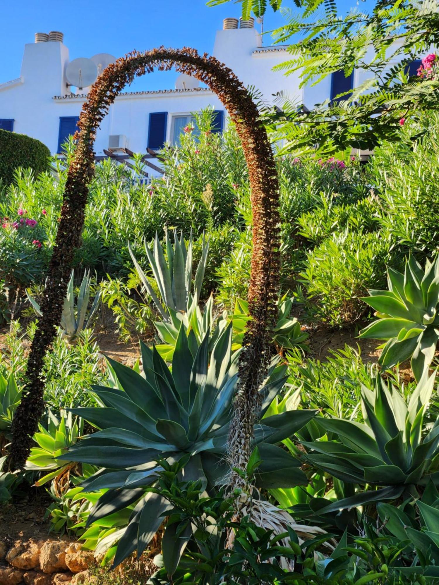 Appartement Elena Flat A Little Paradise Right On The